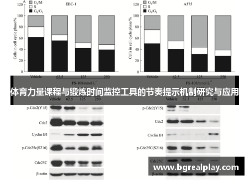 体育力量课程与锻炼时间监控工具的节奏提示机制研究与应用
